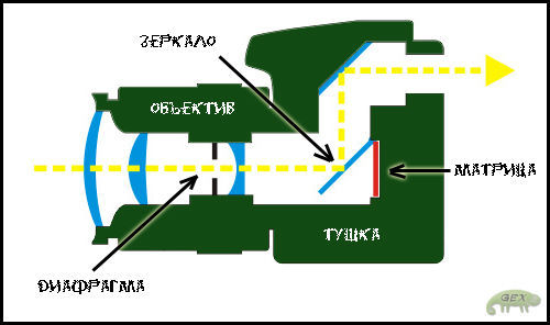 Зеркальный фотоаппарат в разрезе